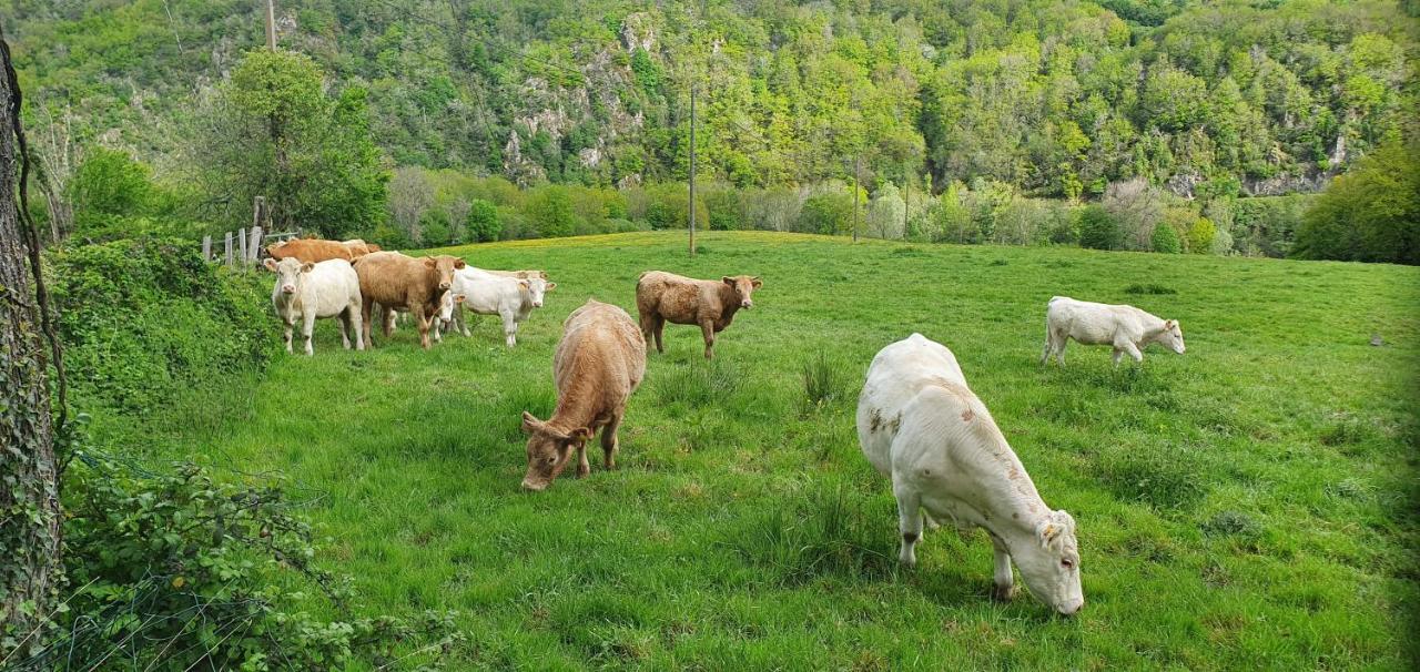 Chalets Lavaux Pouzol Екстер'єр фото